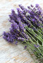Load image into Gallery viewer, LAVENDER Essential Oil Roll- On Blend 10ml